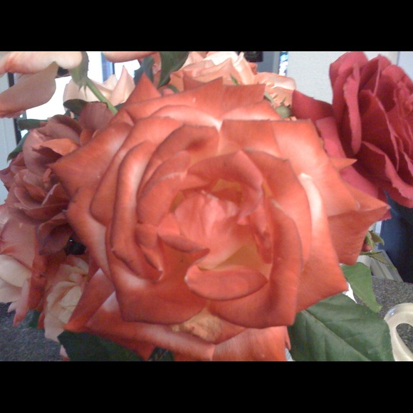 Meet your Posher, Michelle - Picture 1 of 1